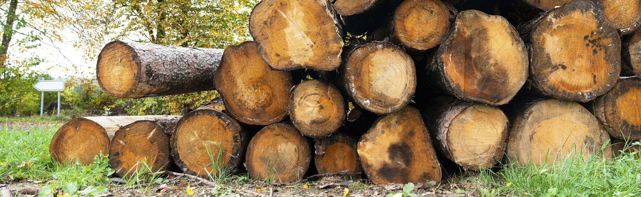 Deforestation regulation | OTS.at