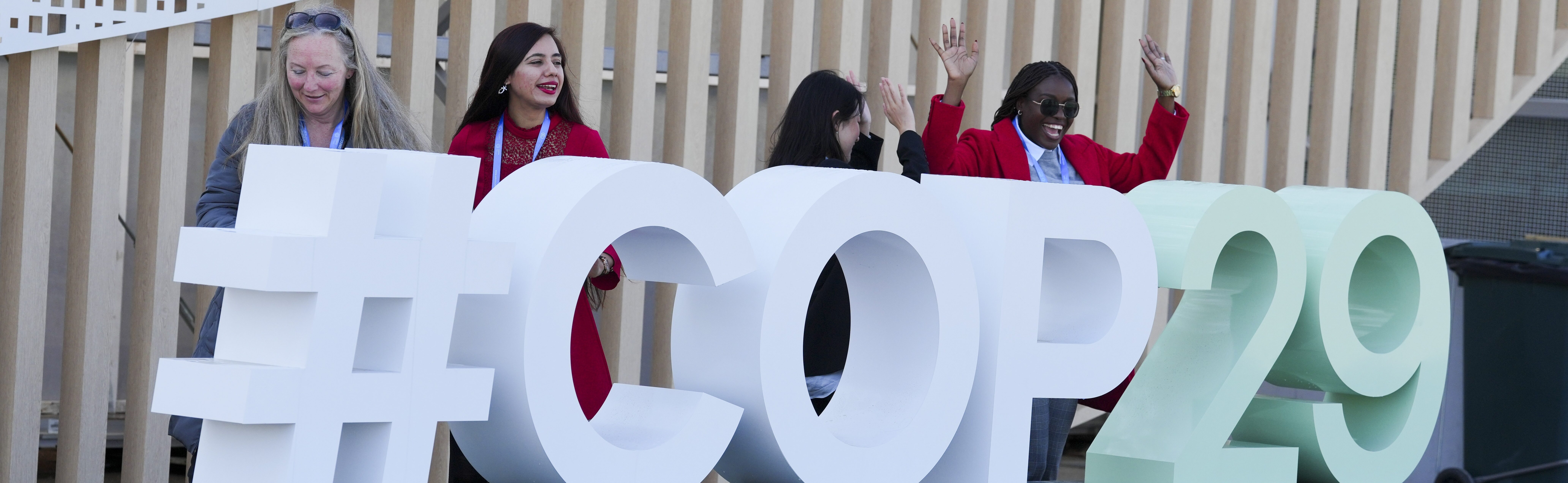 29th UN Climate Change Conference (COP29)