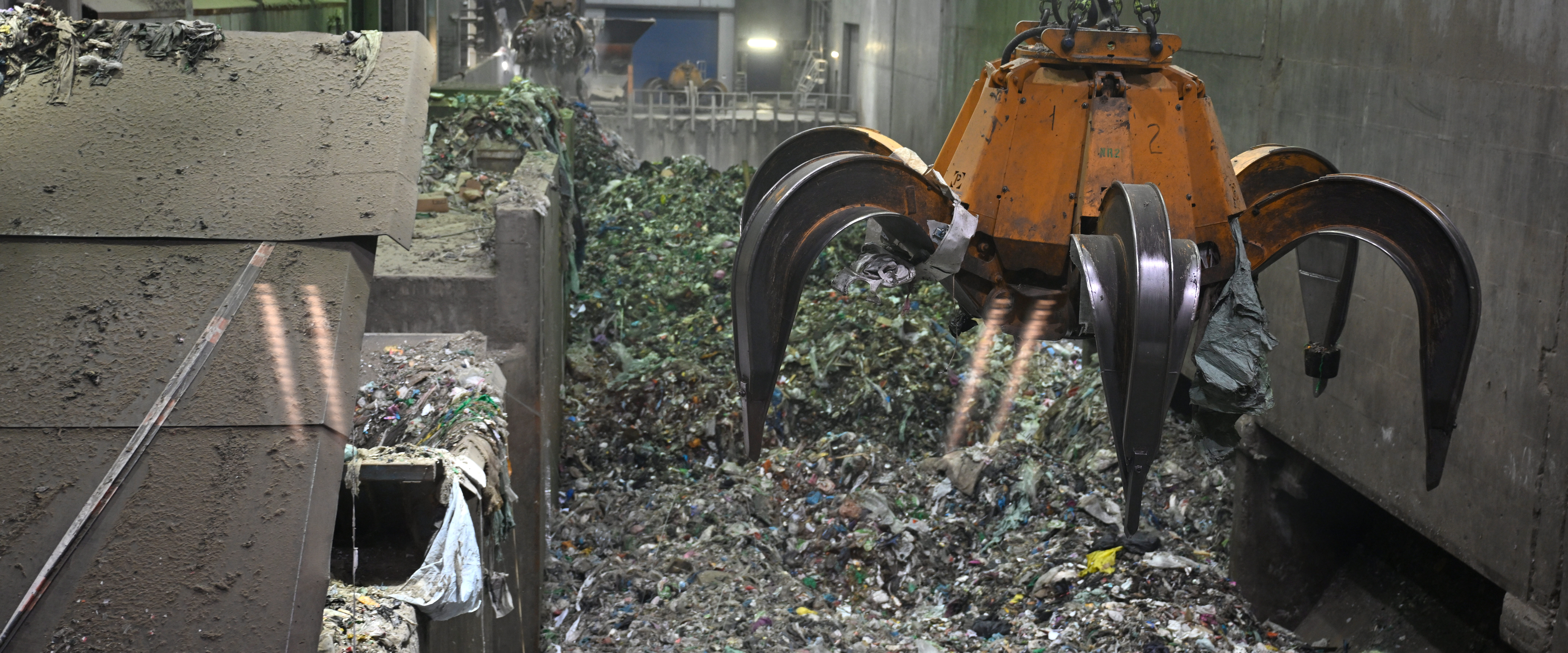 World Environment Day
